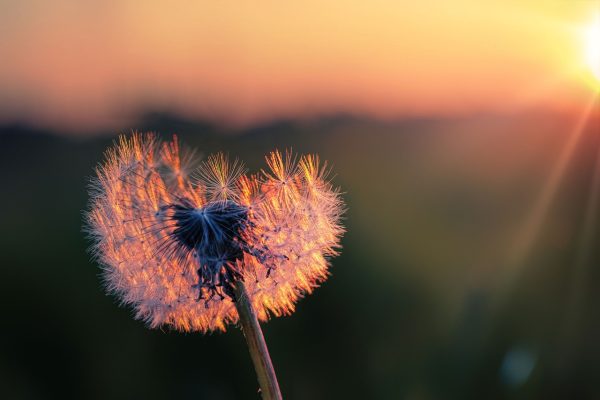 Zentrum für Sensitivität, Medialität & Bewusstseinsarbeit_Lisa Hug_Meditation